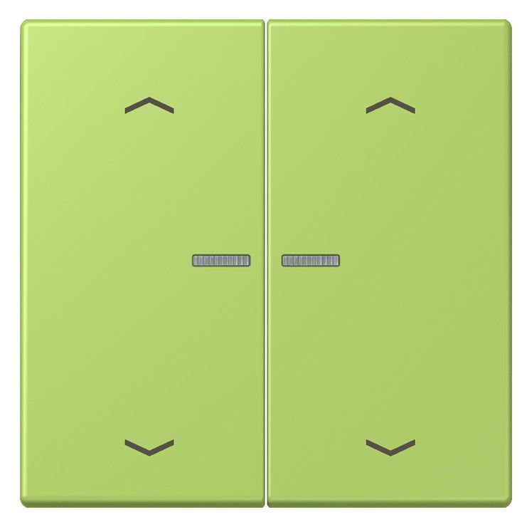 Jung LC102KO5P221 Wippe m.Lichtleiter u. Pfeilsymbolen