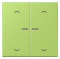 Jung LC102KO5P221 Wippe m.Lichtleiter u. Pfeilsymbolen