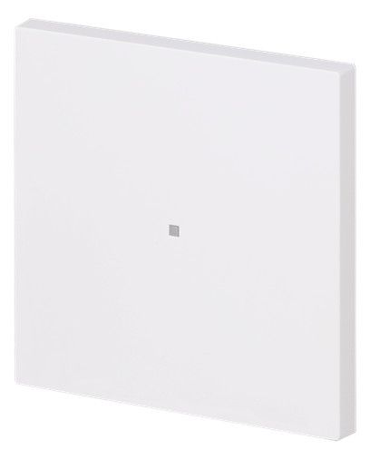 BJ 6230-10-44M Wippe 1-fach neutral o.Bedruckung