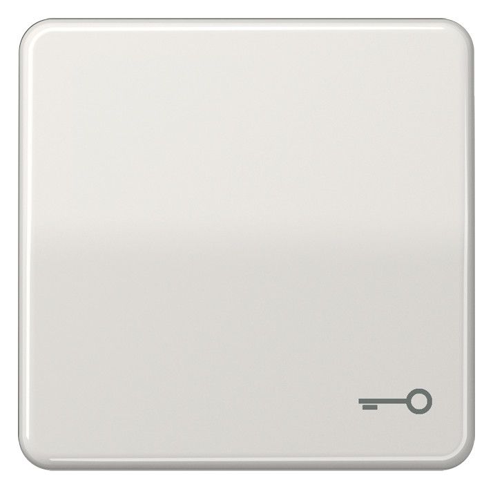 Jung CD590TLG Wippe Symbol Tür lichtgrau