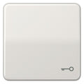 Jung CD590TLG Wippe Symbol Tür lichtgrau