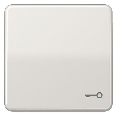 Jung CD590TLG Wippe Symbol Tür lichtgrau
