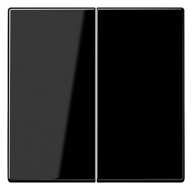 Jung LS995SW Wippe Serienschalter schwarz