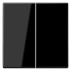 Jung LS995SW Wippe Serienschalter schwarz