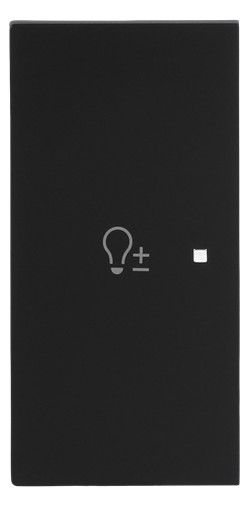 BJ 6234-21-45M Wippe 2-fach links m.Symbol "Dimmer"