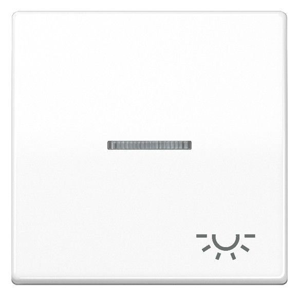 Jung SPAS591KO5LWW Wippe m.Symbol "Licht" KO