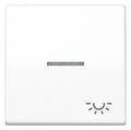Jung SPAS591KO5LWW Wippe m.Symbol "Licht" KO