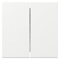 GIRA 349503 Wippe 2fach gerade System 55 Reinweiß glänzend