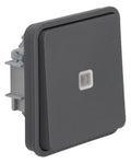 Berker 30863515 Kontroll-Wechselschalter m.Wippe W.1 grau