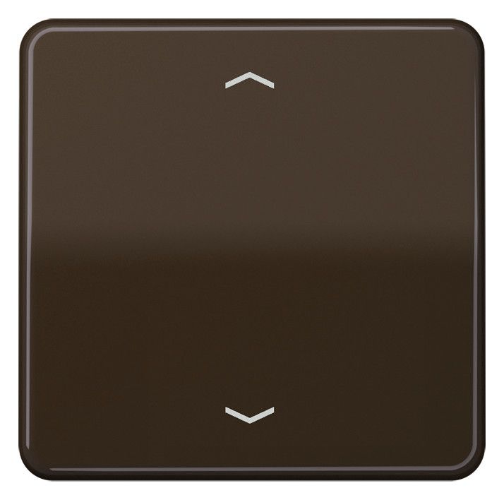 Jung CD101PBR Wippe f.Tasterpfeile