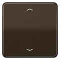 Jung CD101PBR Wippe f.Tasterpfeile