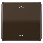 Jung CD101PBR Wippe f.Tasterpfeile