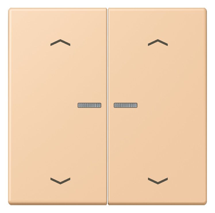 Jung LC102KO5P237 Wippe m.Lichtleiter u. Pfeilsymbolen