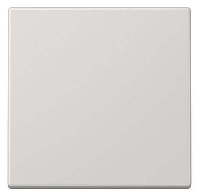 Jung LS990LG Wippe lichtgrau