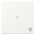 GIRA 367427 Wippe Kontrollfenster+Symbol Licht System 55 Reinweiß seidenmatt