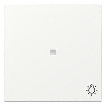 GIRA 367427 Wippe Kontrollfenster+Symbol Licht System 55 Reinweiß seidenmatt