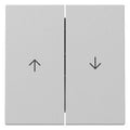 GIRA 3294015 Wippe 2fach Pfeil System 55 Grau matt (lackiert)