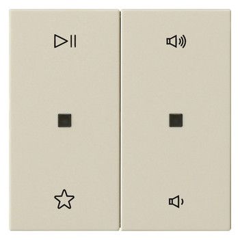 GIRA 538401 Wippe 2fach Audiosteuerung System 55 Cremeweiß glänzend