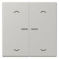 Jung LC102KO5P205 Wippe m.Lichtleiter u. Pfeilsymbolen