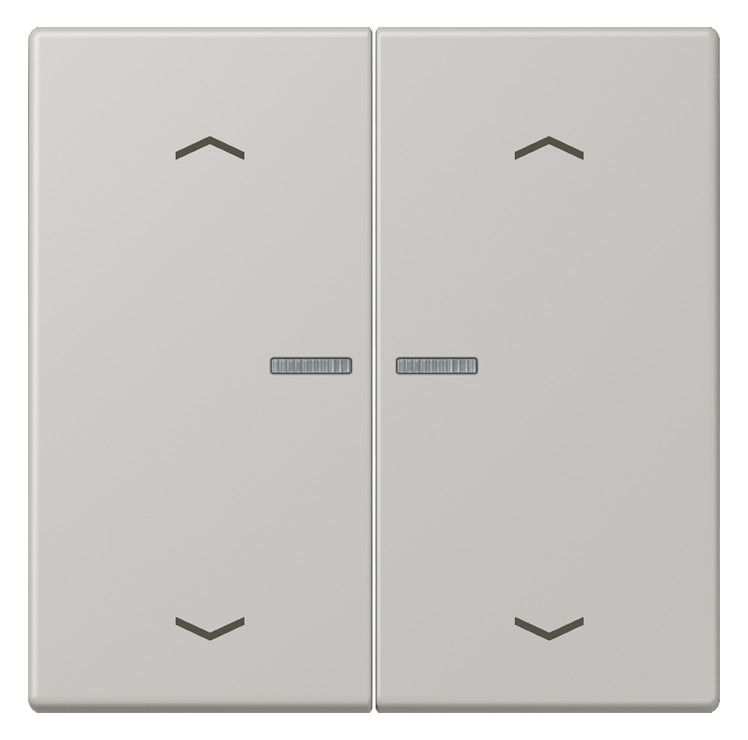 Jung LC102KO5P205 Wippe m.Lichtleiter u. Pfeilsymbolen