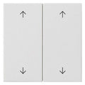 GIRA 538727 Wippe 2fach Pfeile System 55 Reinweiß seidenmatt