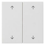 GIRA 538727 Wippe 2fach Pfeile System 55 Reinweiß seidenmatt