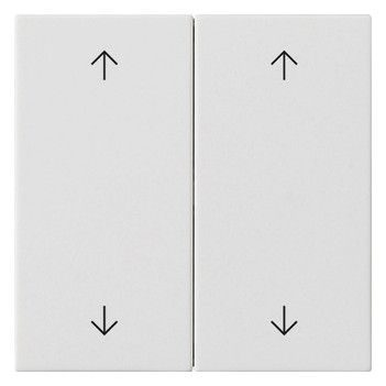 GIRA 538727 Wippe 2fach Pfeile System 55 Reinweiß seidenmatt