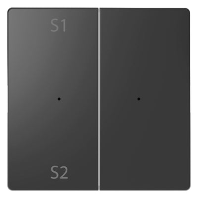 Mert MEG 5226-6034 Wippen Taster-Modul 2fach (Szene1/2 blank) Anthrazit