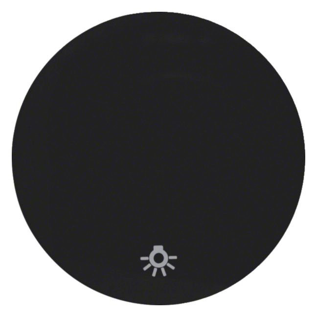 Berker 16202035 Wippe m.Aufdruck Symbol Licht R.1/R.3 schwarz glänzend