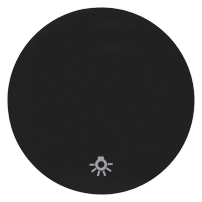 Berker 16202035 Wippe m.Aufdruck Symbol Licht R.1/R.3 schwarz glänzend