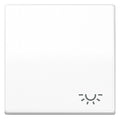 Jung SPAS591LWW Wippe m.Symbol "Licht"