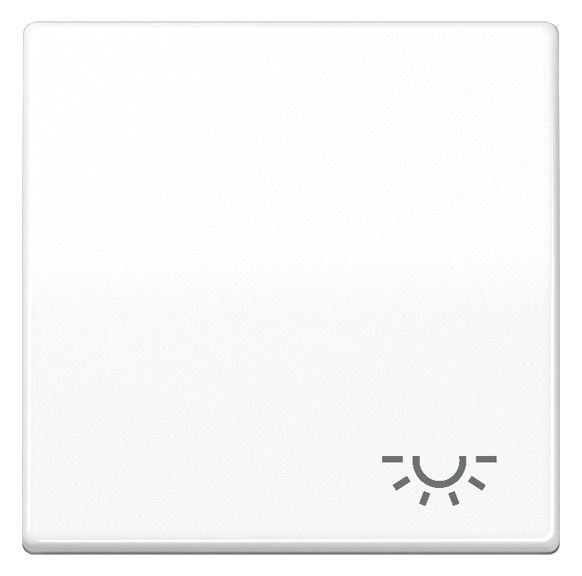 Jung SPAS591LWW Wippe m.Symbol "Licht"