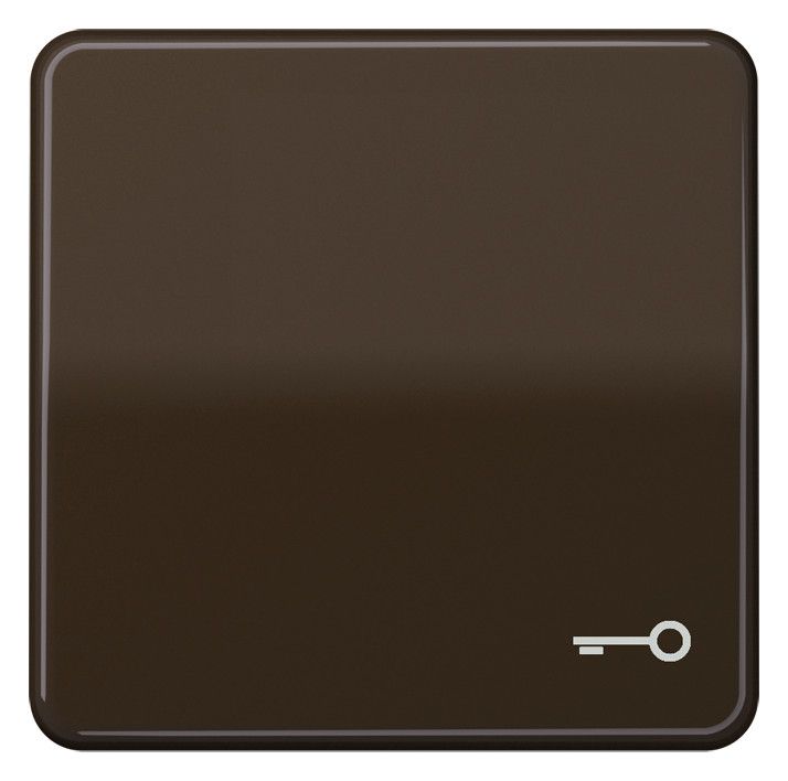 Jung CD590TBR Wippe Symbol Tür braun
