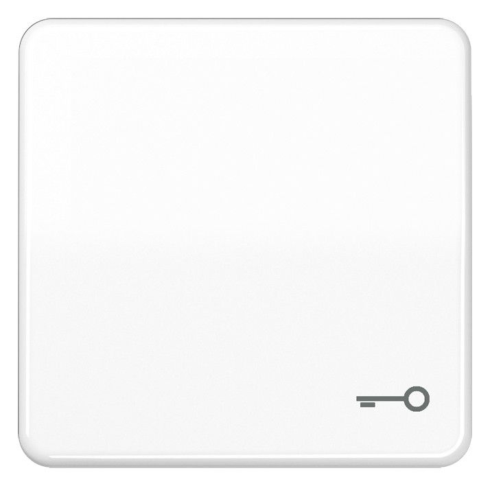 Jung CD590TWW Wippe Symbol Tür alpinweiß