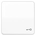 Jung CD590TWW Wippe Symbol Tür alpinweiß