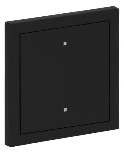 BJ 2570-10-45M Wippe f.Elektroniktaster 1-fach