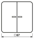 Jung CD595KO5LG Wippe Serienschalter m.Lichtleiter lichtgrau