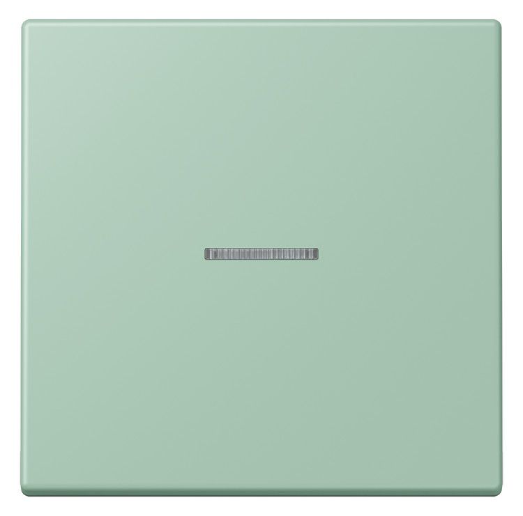 Jung LC101KO5217 Wippe m.Lichtleiter f.KNX Taster 1fa