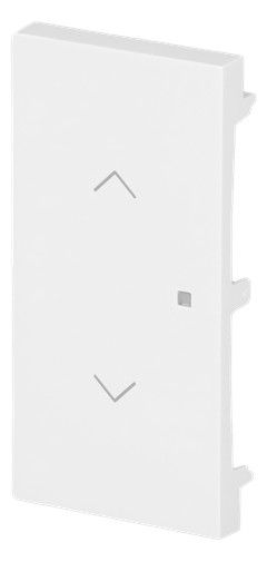 BJ 6232-20-44G Wippe 2-fach m.Symbol "Jalousie"