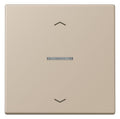 Jung LC101KO5P243 Wippe m.Lichtleiter u. Pfeilsymbolen