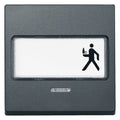 Mert 434614 Wippe m.Schriftfeld+ Kontrollfenster anthrazit System M