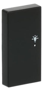 BJ 6231-21-885 Wippe/L 2f Licht schwarz matt Busch-free@home future linear