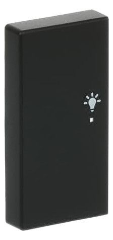 BJ 6231-21-885 Wippe/L 2f Licht schwarz matt Busch-free@home future linear