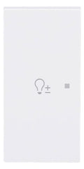 BJ 6234-21-44G Wippe 2-fach links m.Symbol "Dimmer"
