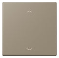 Jung LC990P242 Wippe f.Taster BA 1fach LC32141