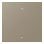 Jung LC990P242 Wippe f.Taster BA 1fach LC32141