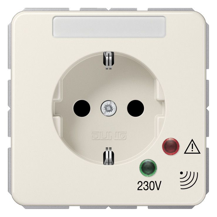 Jung 521 ZNAUF SCHUKO Steckdose 16 A 250V ~ Schraubklemmen m.ÜSS,