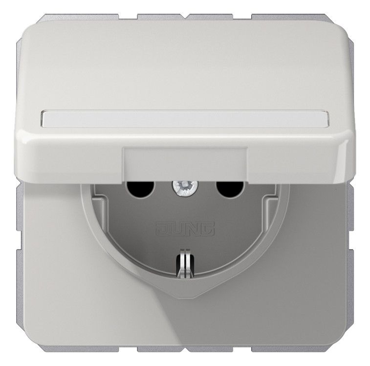 Jung CD1520BFNAKLLG SCHUKO Steckdose Klappdeckel Schriftfeld bruchs. lichtgr.