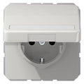 Jung CD1520BFNAKLLG SCHUKO Steckdose Klappdeckel Schriftfeld bruchs. lichtgr.