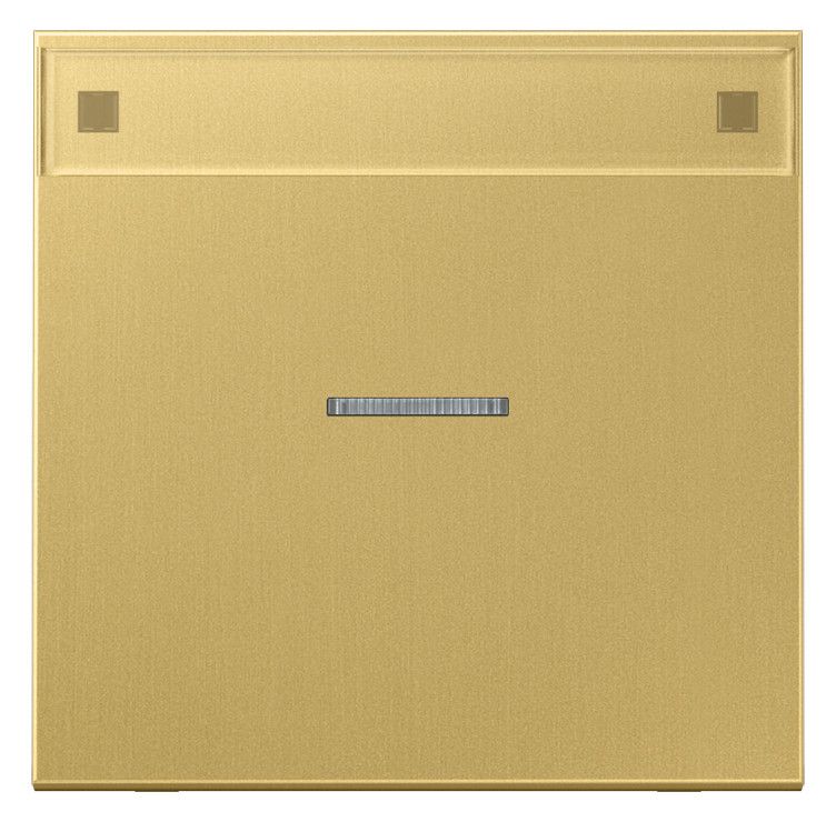 Jung ME2990NAKO5C Wippe Schriftfeld m.Lichtleiter LS Messing classic